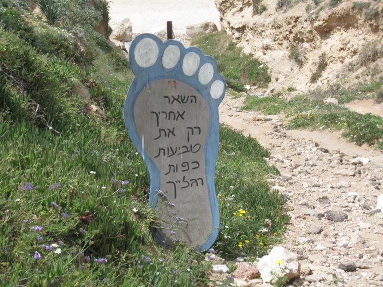 A blue foot-shaped sign with Hebrew text stands beside a rocky path on a grassy coastal cliff.